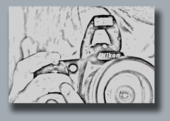 http://www.fokuswelt.de